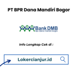 Lowongan Kerja PT BPR Dana Mandiri Bogor Cabang Cianjur 2025
